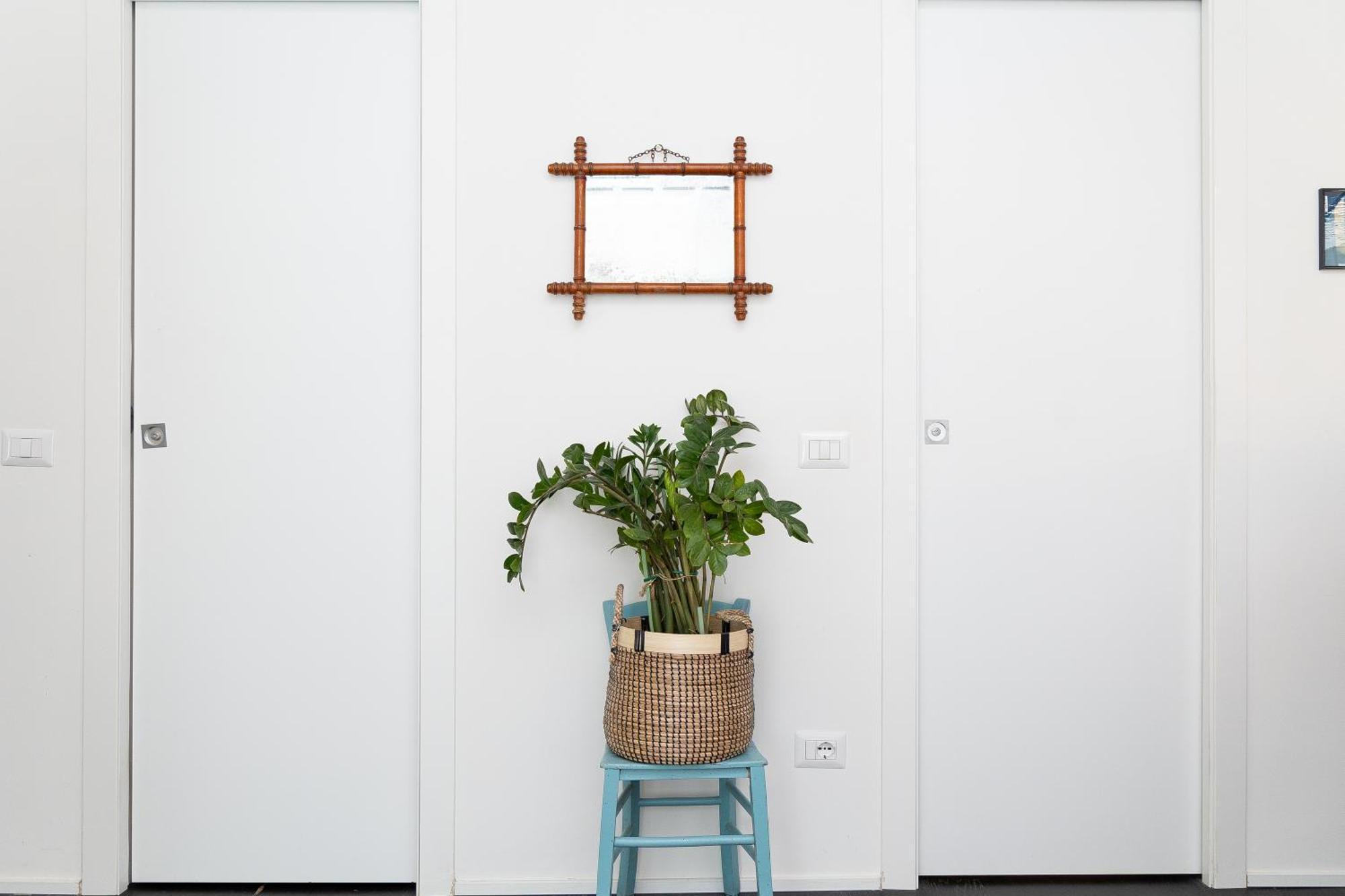 Campani By In *